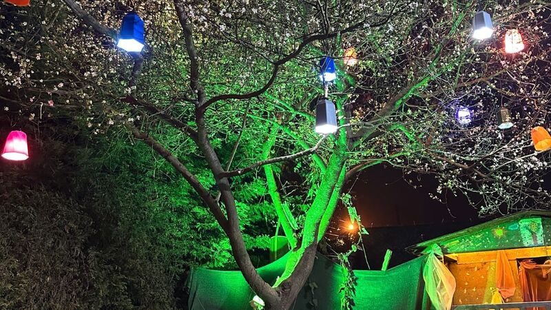 Sakarya Sapanca Hacımercan Mevkii 4 Kişilik Isıtmalı Havuzlu Doğa Manzaralı Kır Evi SFR1000-96