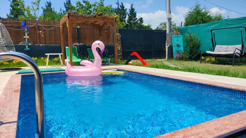 Sakarya Sapanca Hacımercan Mevkii 4 Kişilik Isıtmalı Havuzlu Doğa Manzaralı Tiny House SFR1000-97