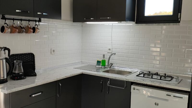Sakarya Sapanca Hacımercan Mevkii 4 Kişilik Isıtmalı Havuzlu Doğa Manzaralı Tiny House SFR1000-97