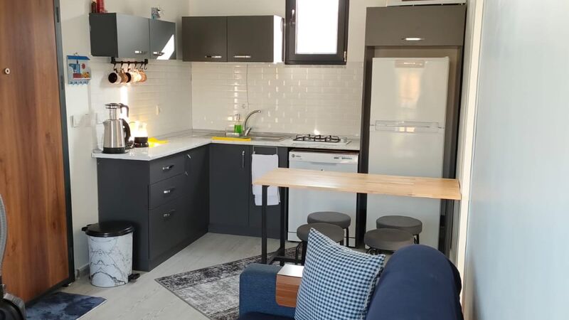 Sakarya Sapanca Hacımercan Mevkii 4 Kişilik Isıtmalı Havuzlu Doğa Manzaralı Tiny House SFR1000-97