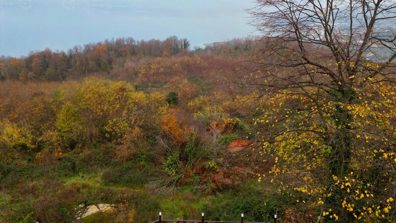 Sakarya Sapanca Uzunkum Mevkii Göl Manzaralı Bungalov SFRS-001